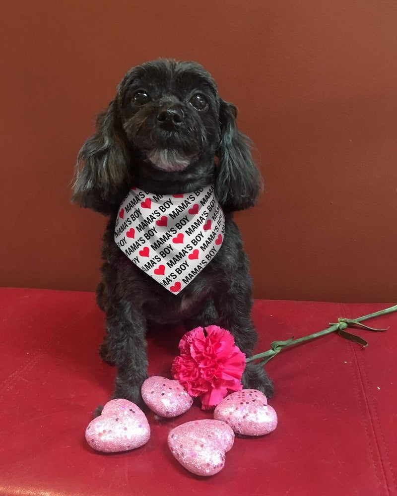 BoomBone Dog Valentines Day Bandana 2 Pack,Triangle Bibs Pet Scarf for Medium and Large Dogs - Image 4